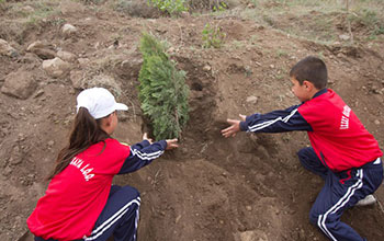 İzzet Öksüzkaya İlköğretim Okulu Öğrencileri Boydak Ormanına Ağaç Dikti.
