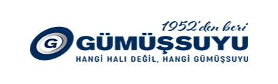 Günep DTM | Gümüşsuyu